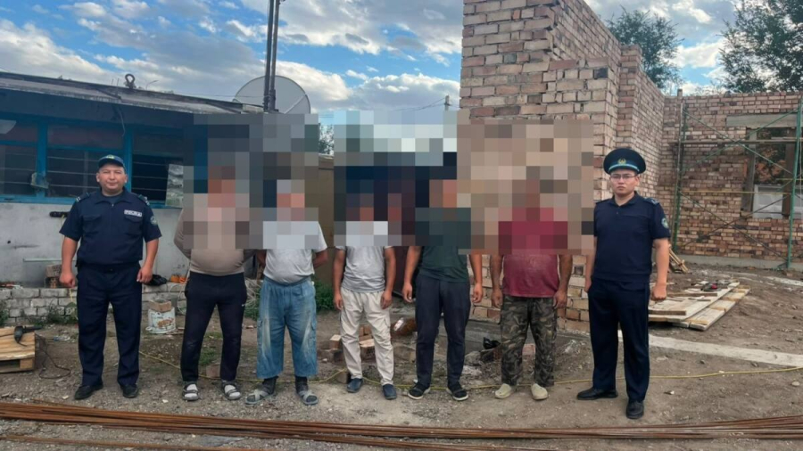 Павлодар облысында заңсыз еңбек еткен шетел азаматтарына айыппұл салынды