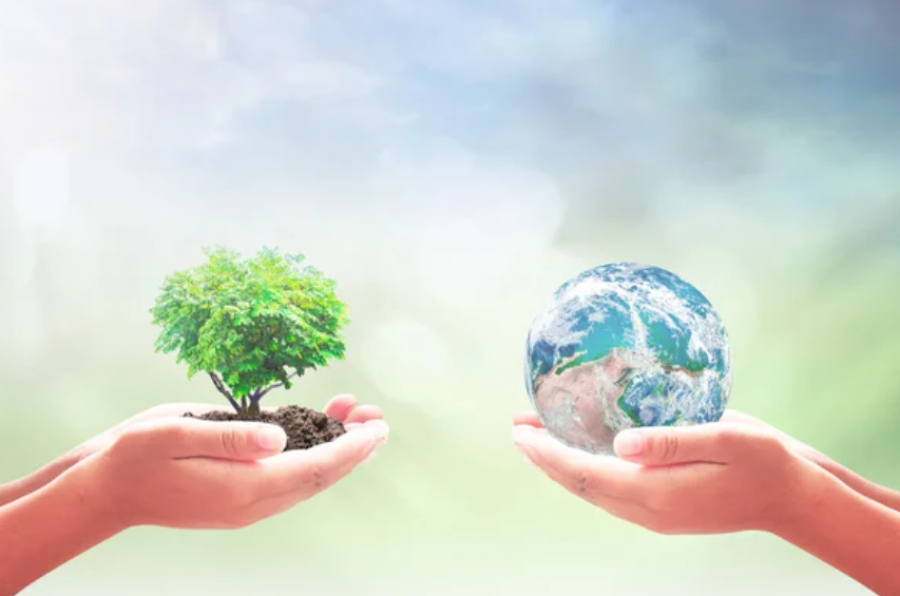 Минэкологии напомнило об ответственности за экологические нарушения