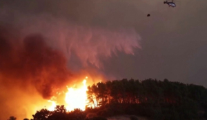 Пожары в Греции: выгорели рекордные площади