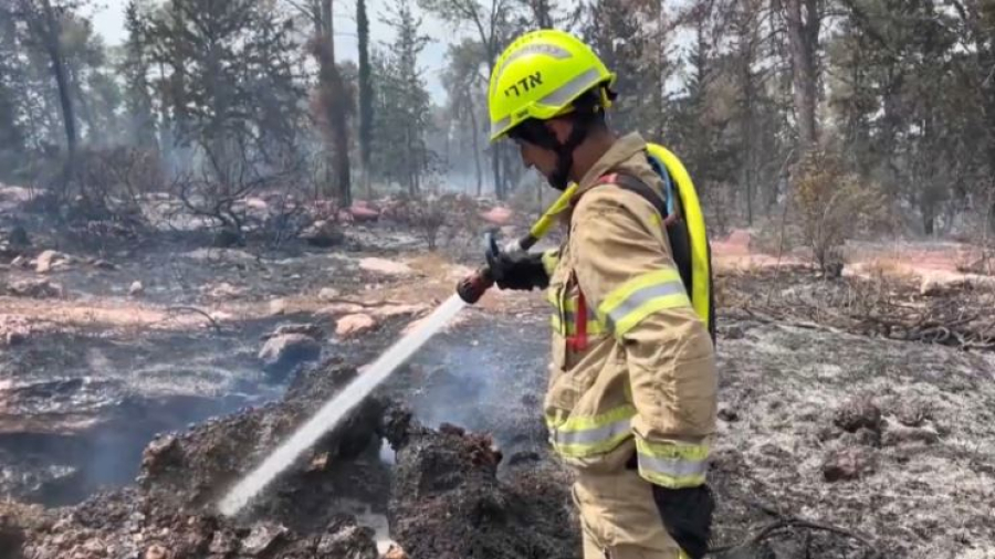 Лесные пожары в Израиле взяты под контроль