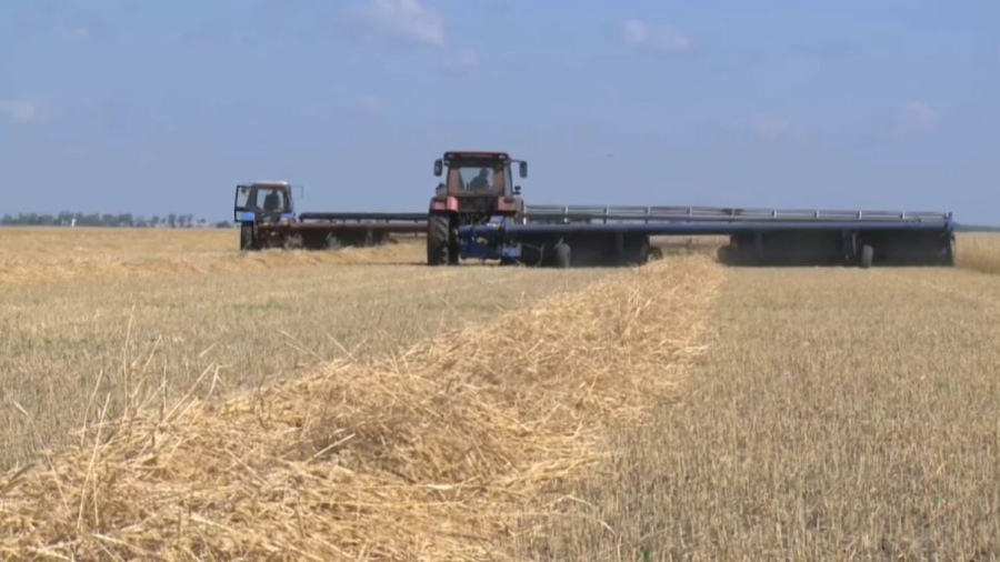 Как проходит уборочная кампания