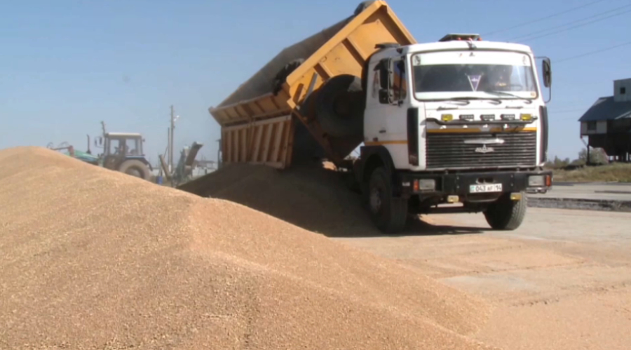 Казахстан вошёл в число мировых лидеров по площади сельхозугодий