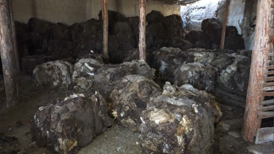 Қазақстанда тері экспортына салынған кедендік баж салығы алынып тасталды