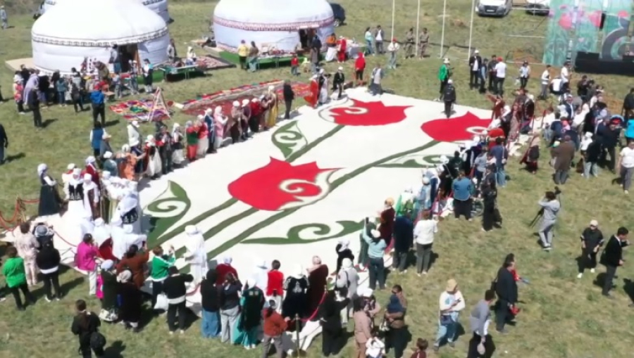 Международный фестиваль тюльпанов прошел в Жамбылской области