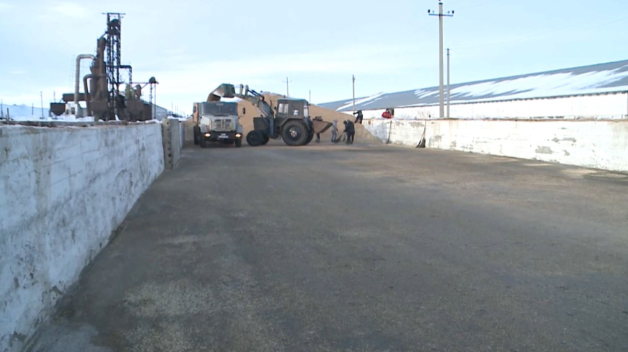 Экспорт зерна вырос на 39%