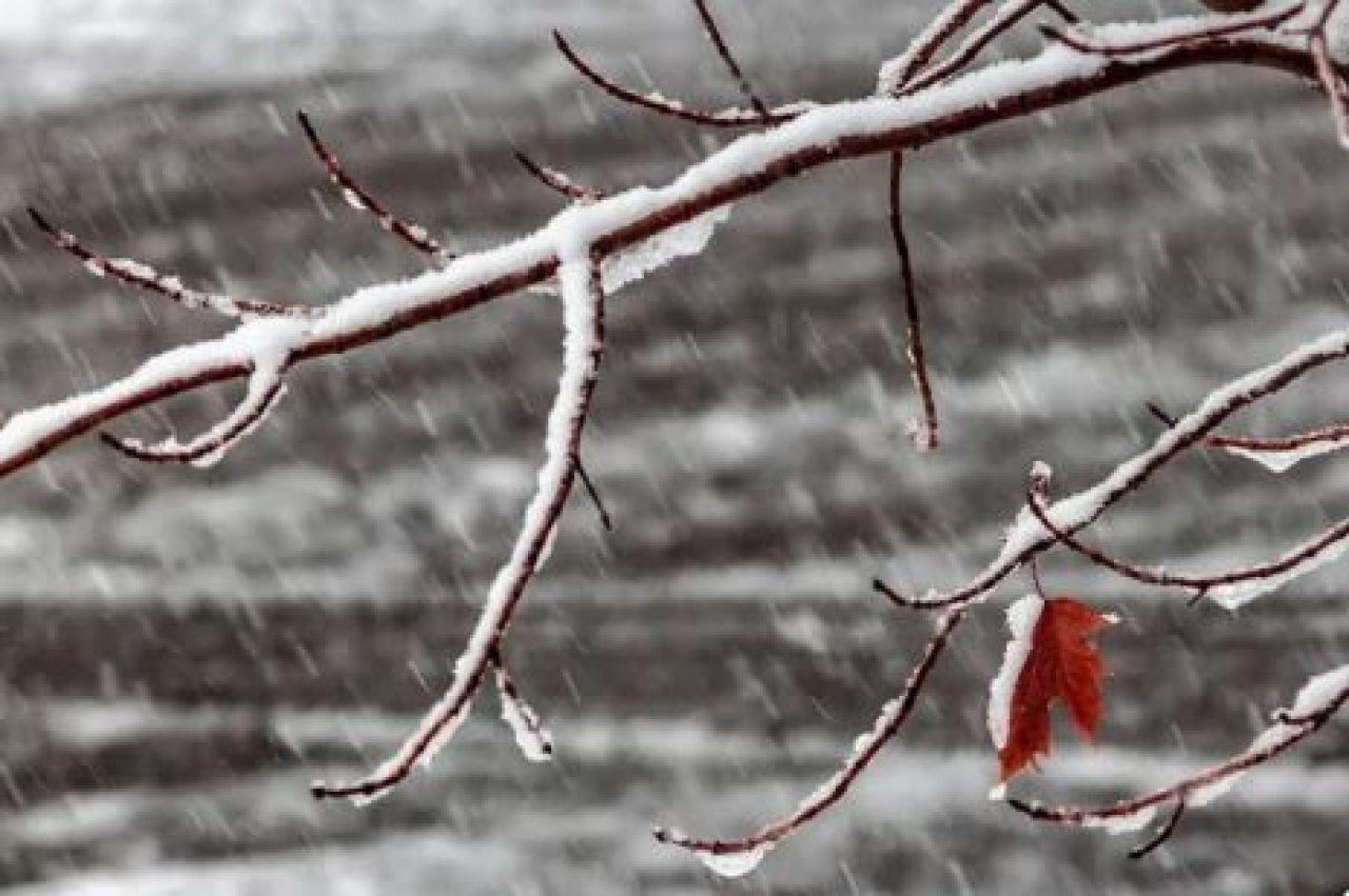 Еліміздің мегаполистерінде қар аралас жаңбыр жауады