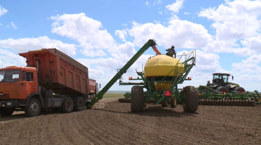 Посевные площади в Карагандинской области достигли 1,2 млн га