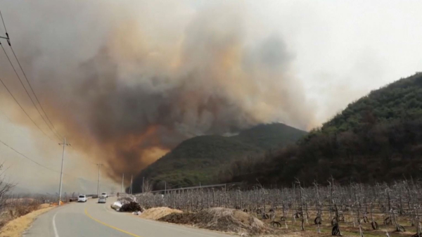 1300-летний буддийский храм разрушил лесной пожар в Южной Корее