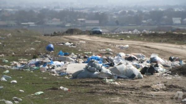 Стихийную свалку ликвидировали в селе Алматинской области