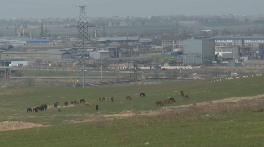 Шымкентте коммуналдық қызметке тариф төмендеді