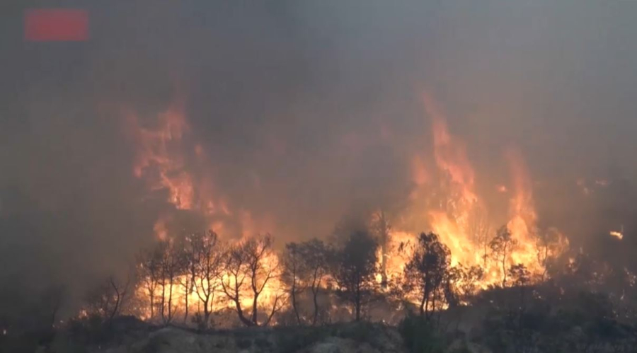 Лесной пожар бушует в Испании