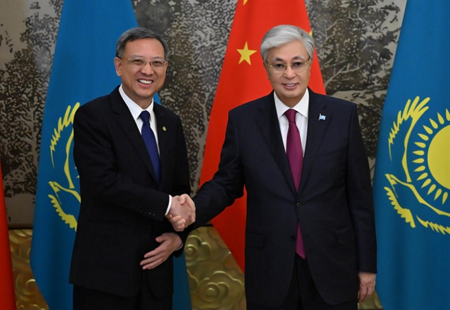 Глава государства принял генерального директора China Energy