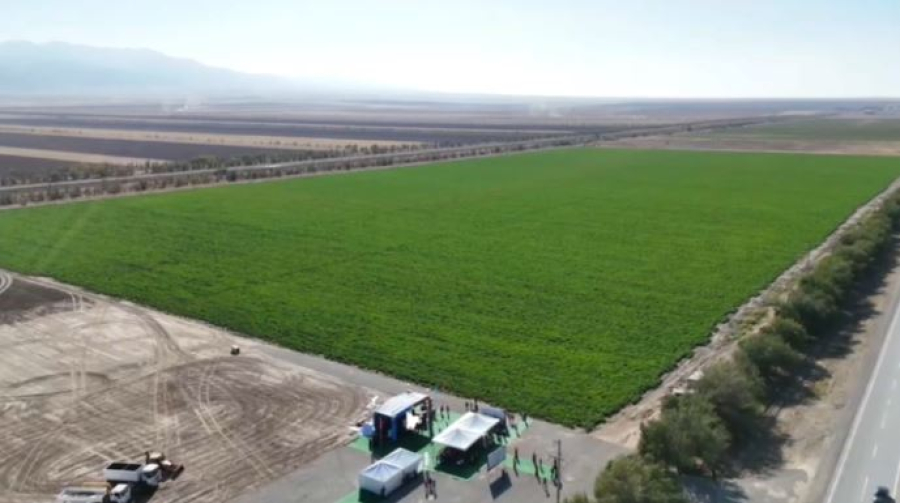 Строительство двух заводов начали в Жамбылской области