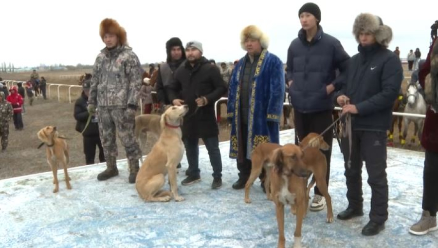 Соревнования по национальным видам спорта прошли в Актобе