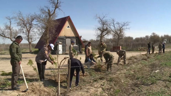 Түркістанда табиғи парк аумағы тазартылды