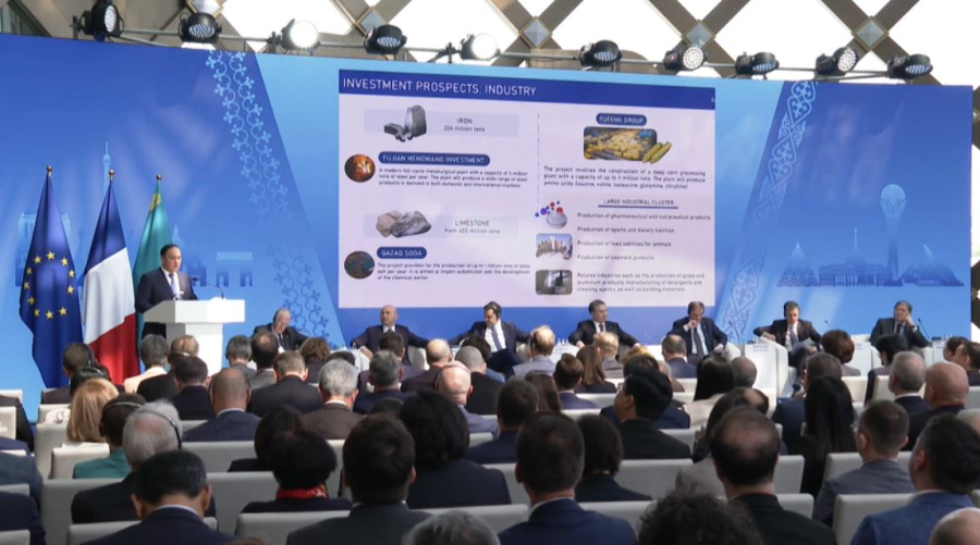 Казахстан и Франция расширят сотрудничество в медицине и агросекторе