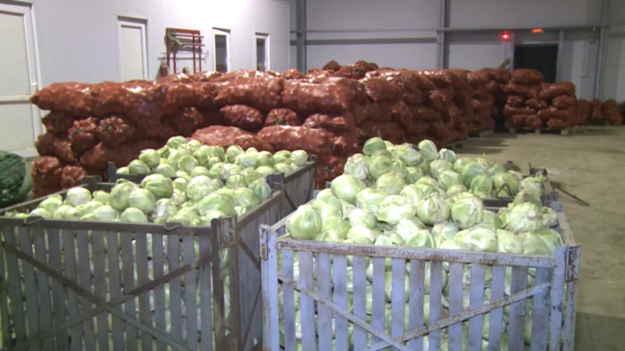 ФАО: школьное питание — новый рынок для фермеров