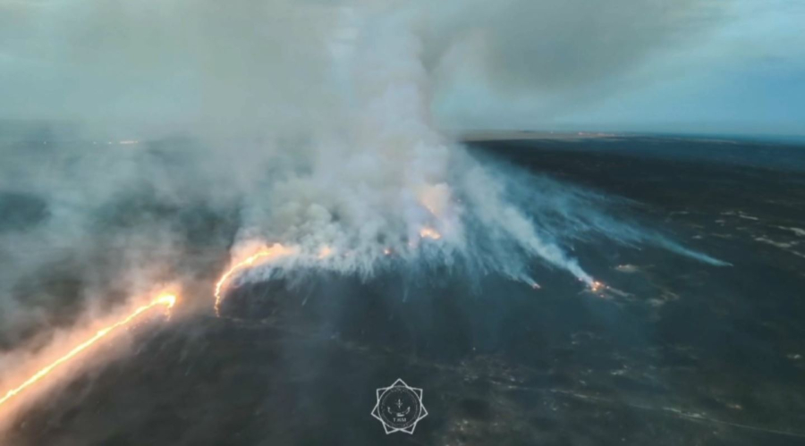Степной пожар ликвидировали в Актюбинской области