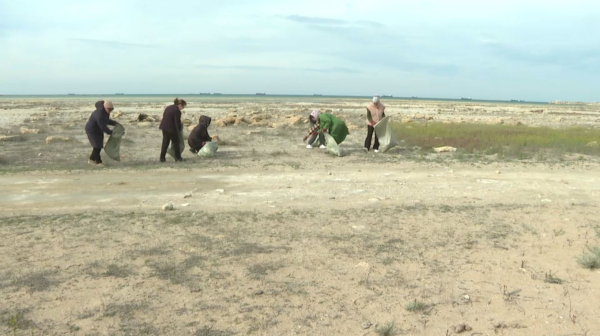 Каспий жағалауында ауқымды тазалық шарасы өтті