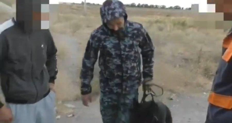 Синтетические наркотики пытались перевезти в Жамбылской области