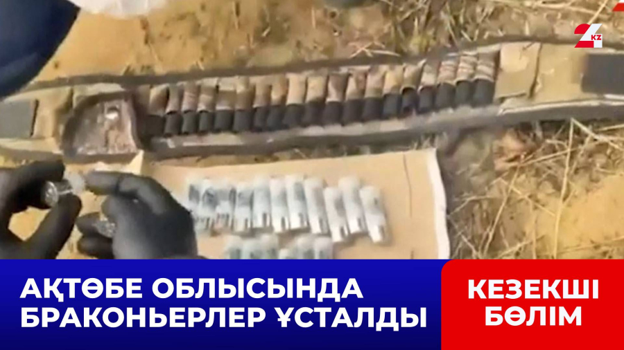 Мал ұрлығымен айналысқан 16 қылмыстық топ анықталды