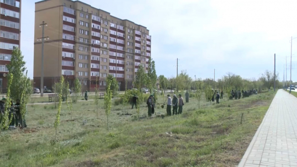 Ақтөбеліктер қоғамдық орындарды көгалдандырды