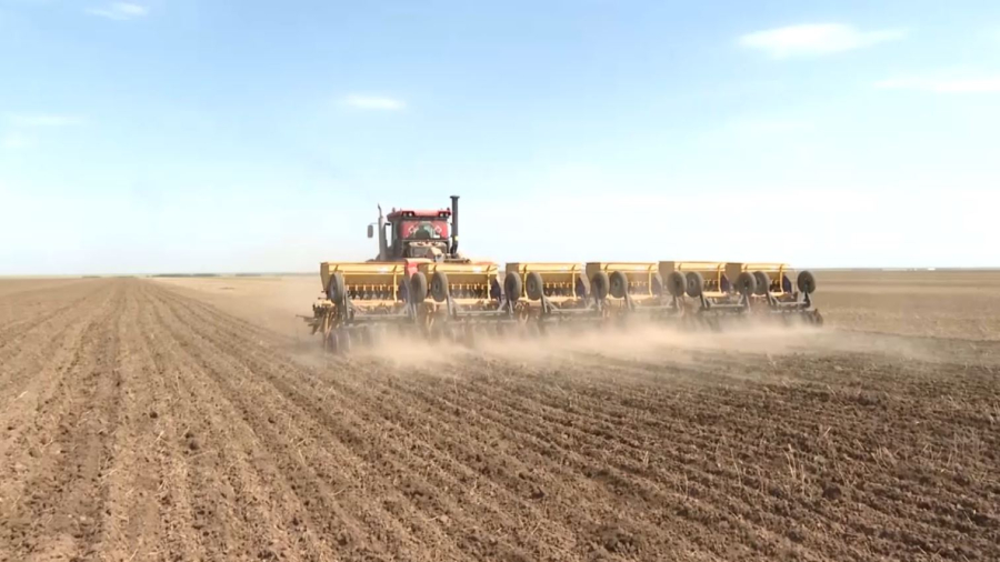 Ақмола облысында көктемгі егіс науқаны аяқталды