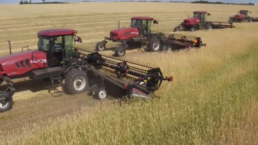 Экспорт казахстанского зерна достиг 7,6 млн тонн