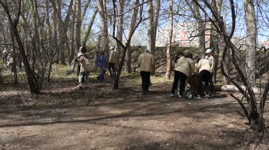 Экологическая акция «Таза Қазақстан» объединила Павлодарскую молодёжь