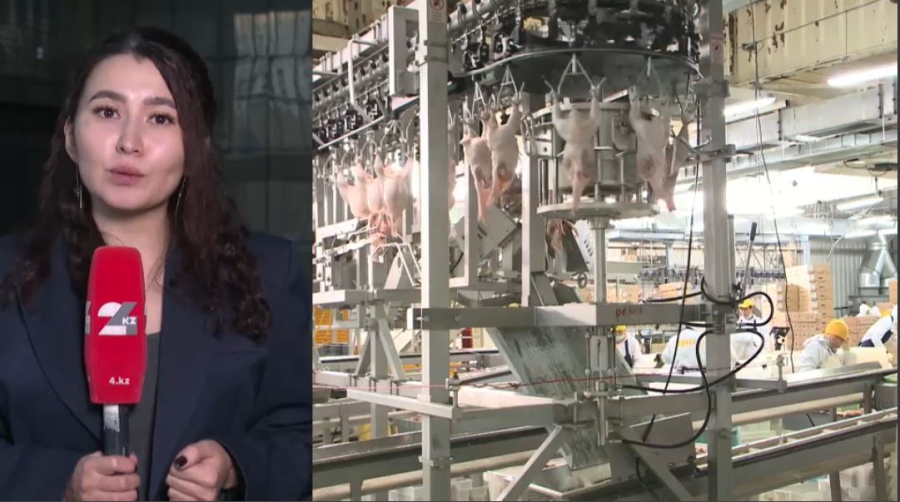 Елде құс еті өндірісі артты