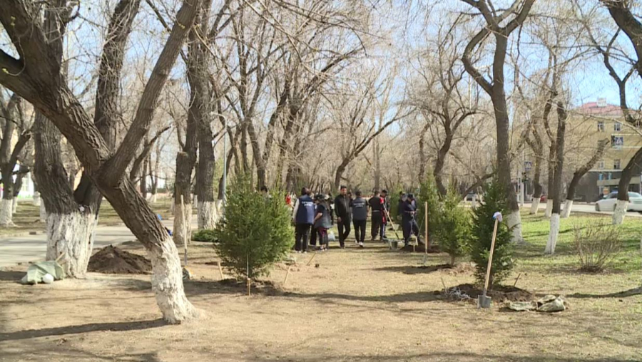 Қарағандыда «Таза қазақстан» акциясы аясында 500 ағаш егілді