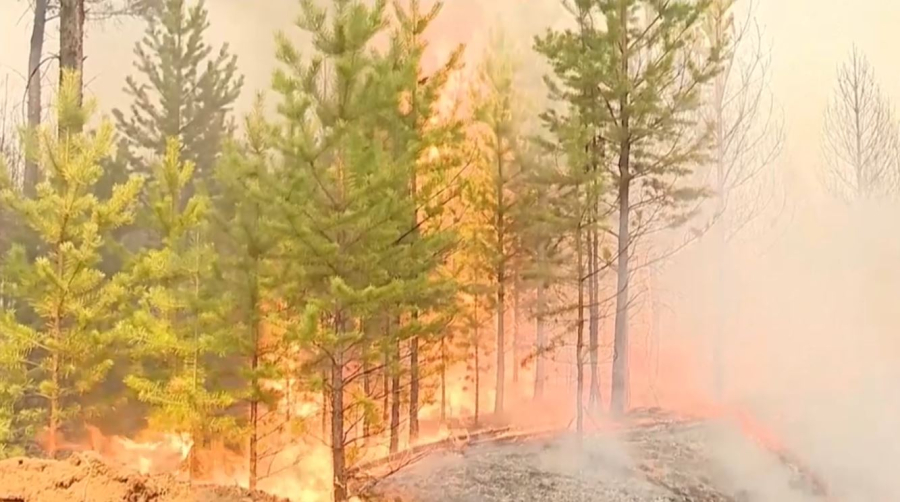 Лесные пожары в Бурятии: огнём охвачено почти 37 тыс. га леса