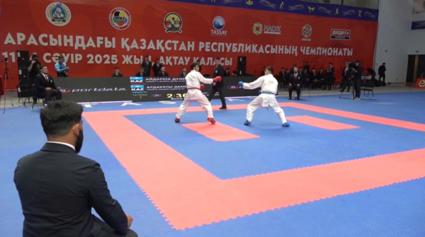 Подведены итоги чемпионата РК по карате среди взрослых