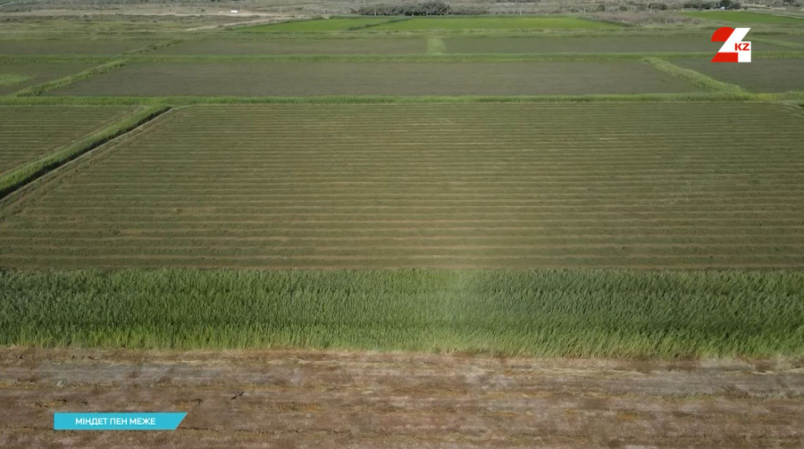 Қызылорданың агросектор әлеуеті