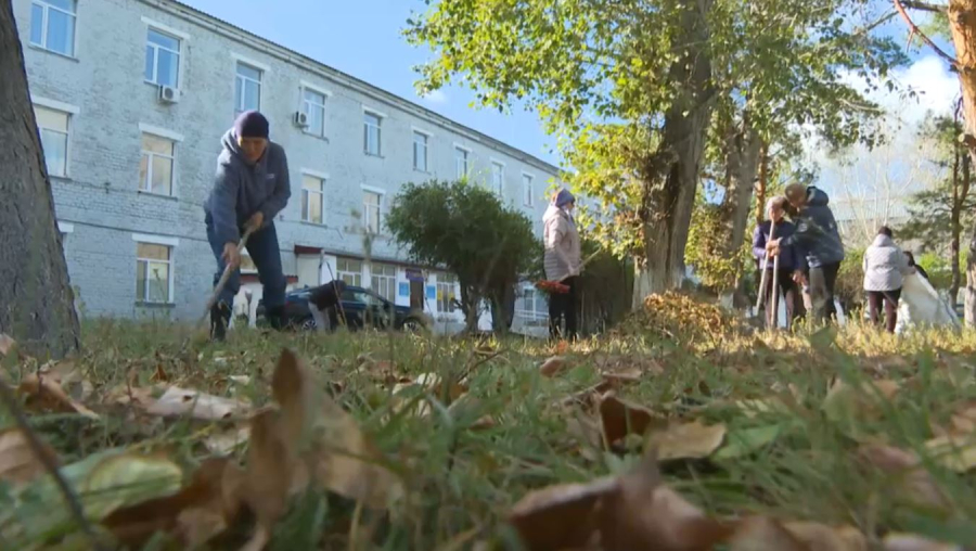 Павлодар облысында дәрігерлер экоакцияға атсалысты