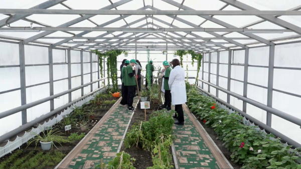 Ученики осваивают азы земледелия в школьной теплице Уральска