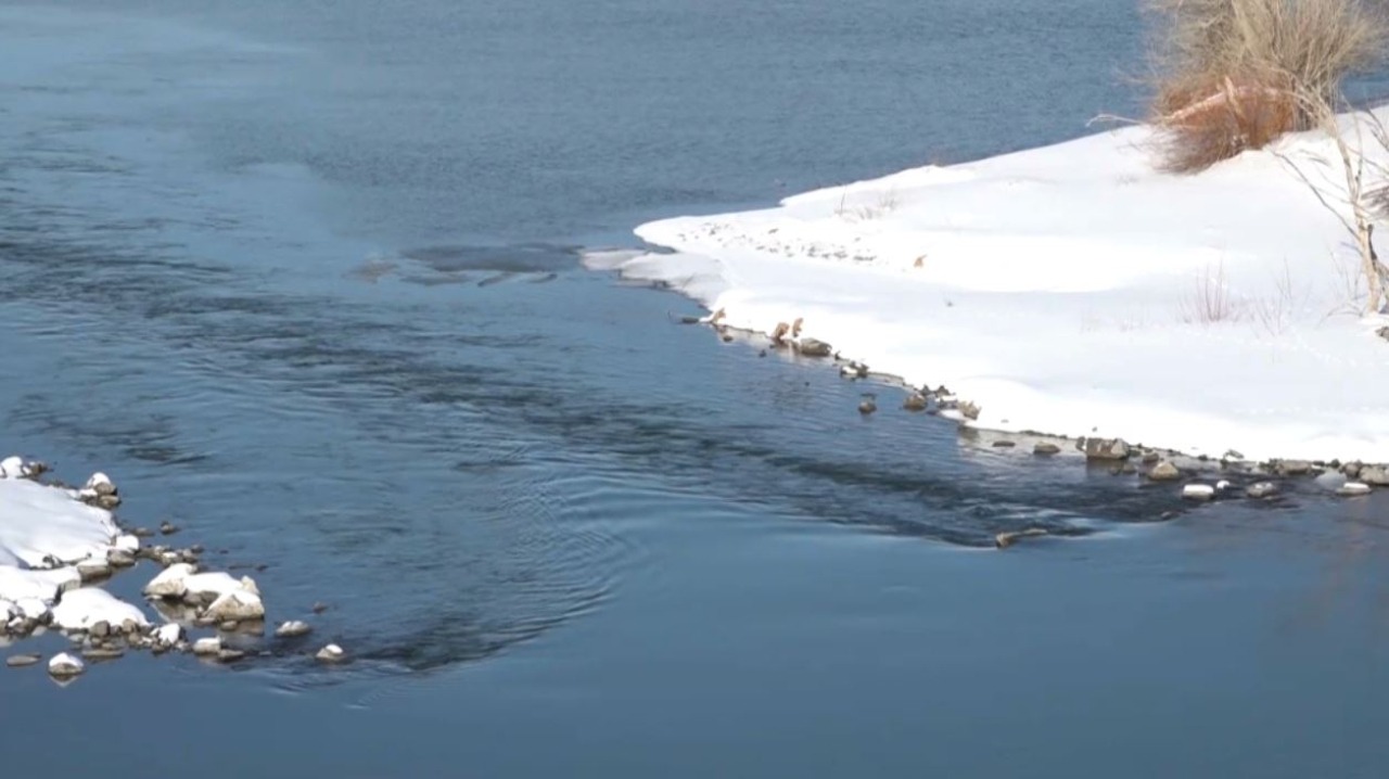 За паводковой обстановкой следят в СКО
