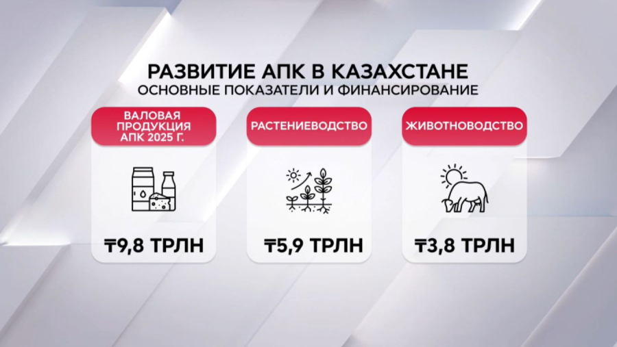 Казахстан начал переход к прогрессивной агроэкономике