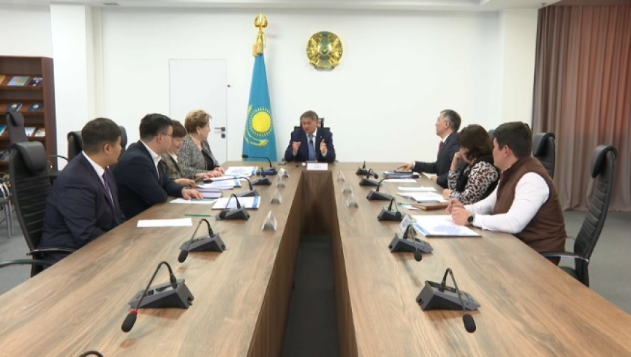 Саясат Нурбек встретился с представителями НПО