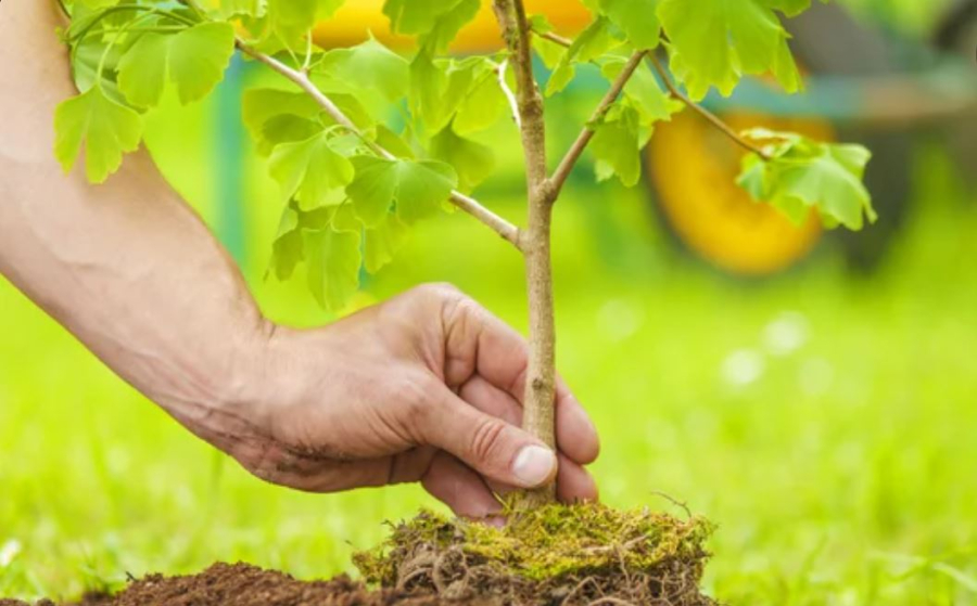 «Таза сана – Таза қала»: стартует конкурс среди журналистов и блогеров