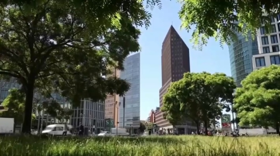 Процедура признания инвалидности в разных странах