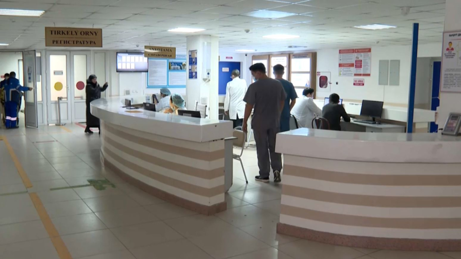 Шымкентте кене шаққан 12 адам дәрігерге жүгінді