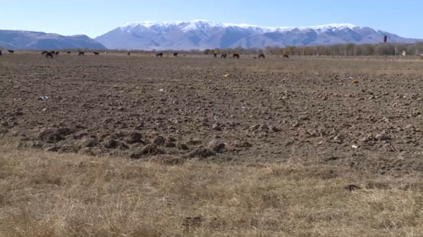 Түркістан облысында жекеге заңсыз өткен 330 мың гектардан астам жер қайтарылды