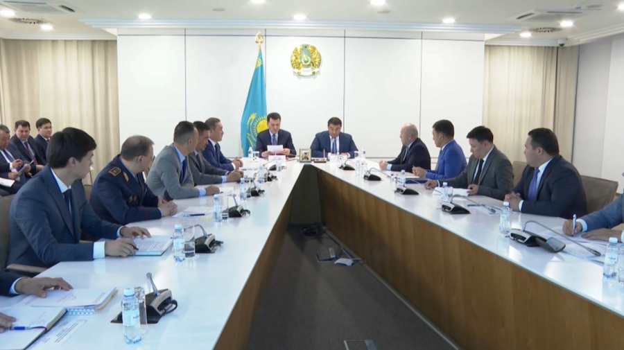 Мемлекеттік кеңесші ішкі саясат мәселелері жөнінде жиын өткізді