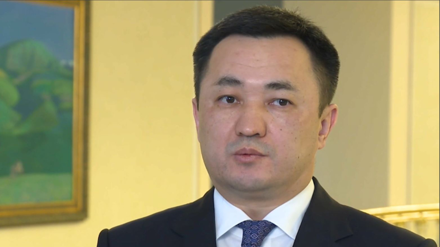 Президент жаңа Конституция жобасын әзірлеу жұмысына тікелей қатысты