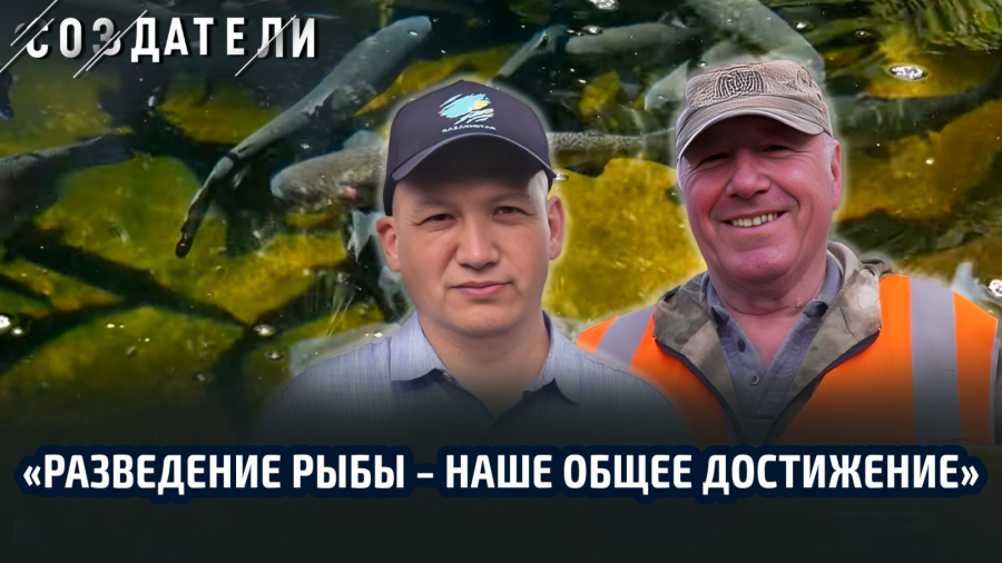 Как содержат рыбное хозяйство