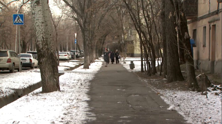 Мәйіттік донордың маңызы қандай? Сауалнама