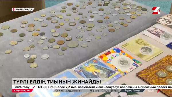 Түрлі елдің тиынын жинаған нумизмат