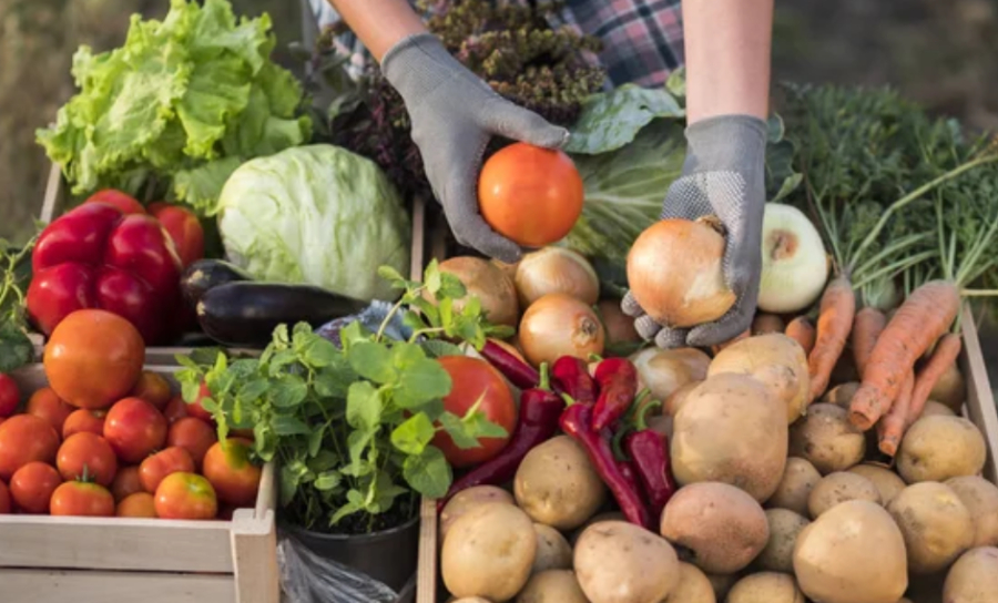 Сезон сельхозярмарок в столице откроют аграрии Туркестанской области