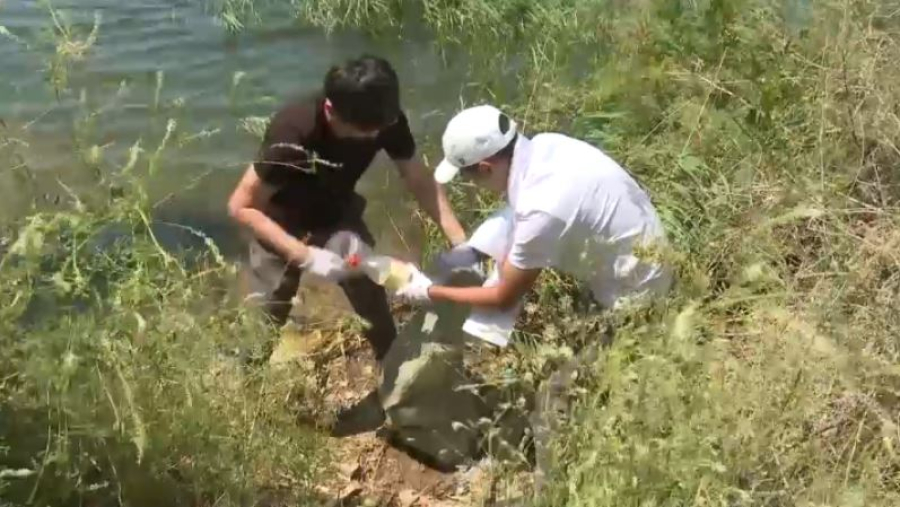 «Таза Қазақстан»: молодёжь принимает активное участие в акции